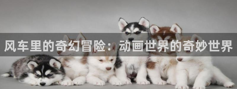 腐漫画网下载动漫全免费：风车里的奇幻冒险：动画世界的奇妙世界
