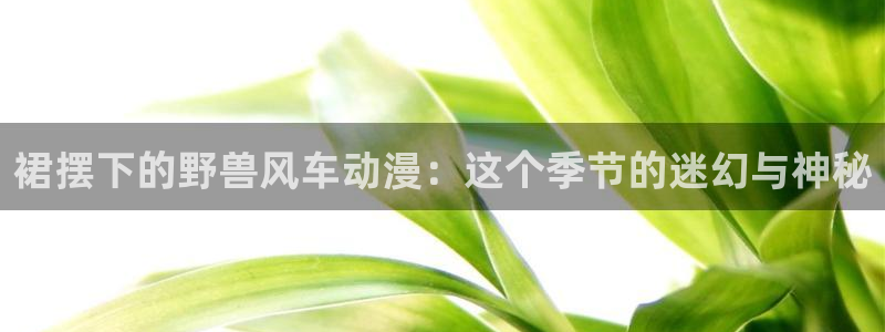 韩国漫画平台kakaopage：裙摆下的野兽风车动漫：这个季节的迷幻与神秘