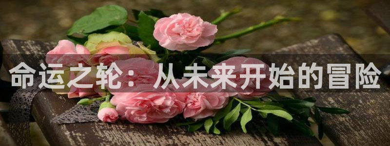 colomanage漫画官网：命运之轮：从未来开始的冒险