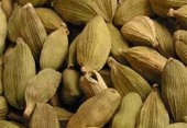 Cardamom