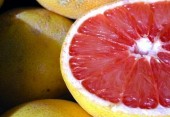 Grapefruit oil