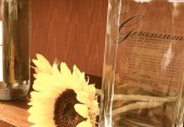 GTC Geranium Gin