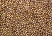 Coriander seeds