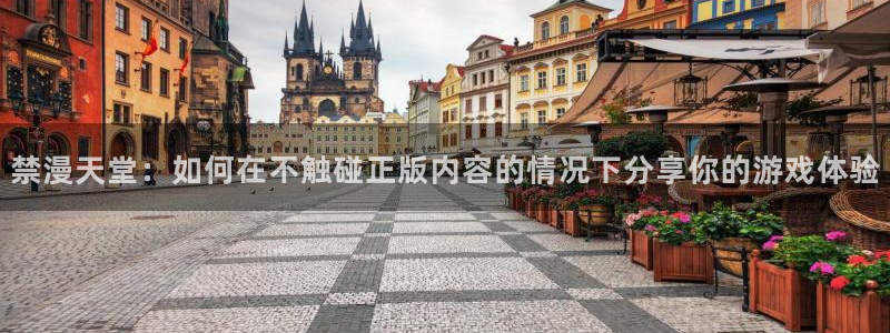 age樱花动漫：禁漫天堂：如何在不触碰正版内容的情况下分享你的游戏体验