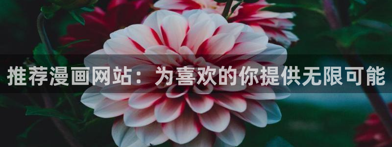 腐漫画网官网网址：推荐漫画网站：为喜欢的你提供无限可能