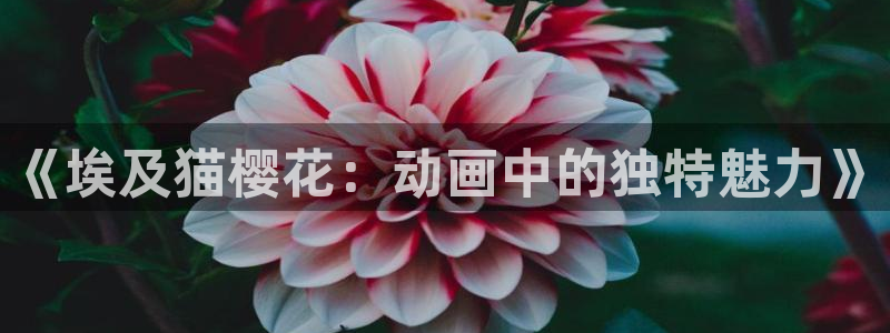 stagenehind韩漫免费观看：《埃及猫樱花：动画中的独特魅力》
