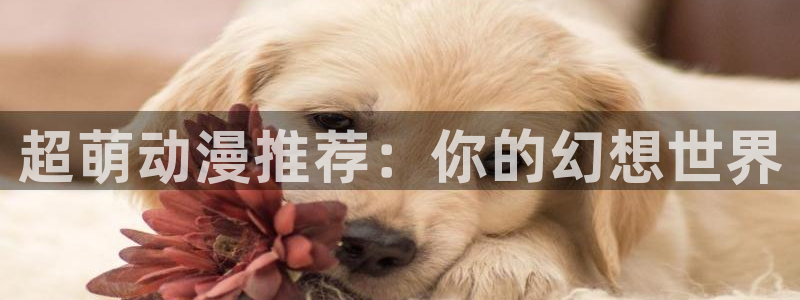 腐漫画网网：超萌动漫推荐：你的幻想世界