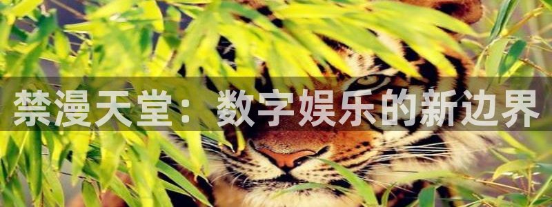 age樱花动漫：禁漫天堂：数字娱乐的新边界