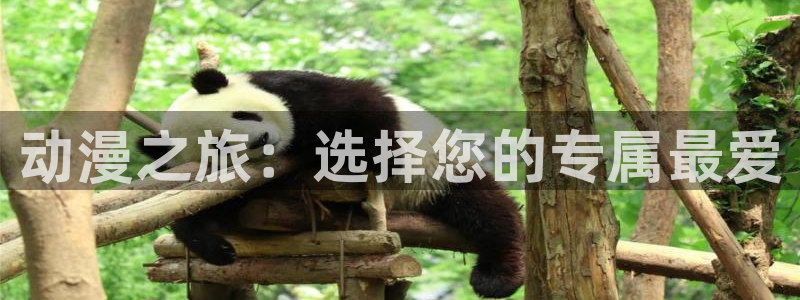 腐漫画网网下载：动漫之旅：选择您的专属最爱