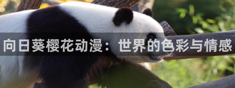 腐漫画网专注动漫的门户网站：向日葵樱花动漫：世界的色彩与情感