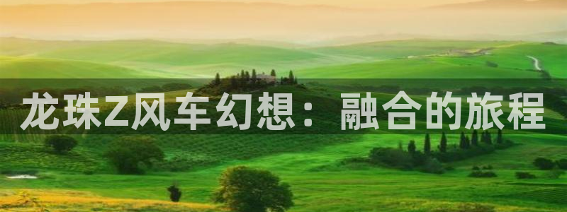 腐漫画网下载：龙珠Z风车幻想：融合的旅程
