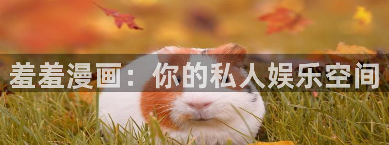 age樱花动漫：羞羞漫画：你的私人娱乐空间