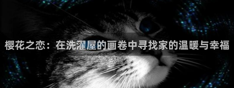 腐漫画网下载网：樱花之恋：在洗濯屋的画卷中寻找家的温暖与幸福