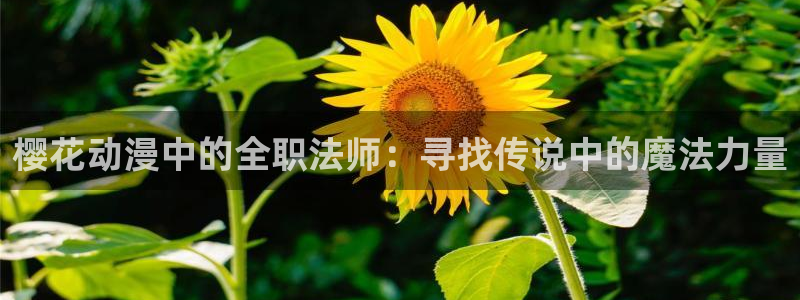 在线动画动漫下载腐漫画网：樱花动漫中的全职法师：寻找传说中的魔法力量