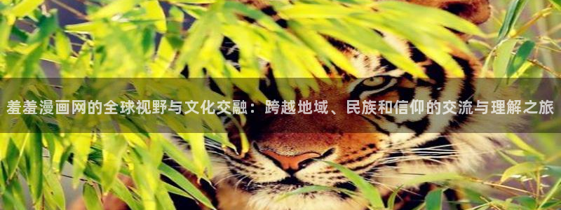 stagenehind韩漫免费观看：羞羞漫画网的全球视野与文化交融：跨越地域、民族和信仰的交流与理解之旅