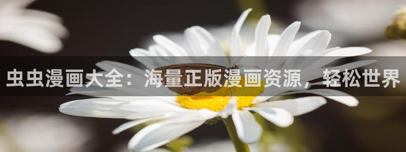 腐漫画网网：虫虫漫画大全：海量正版漫画资源，轻松世界