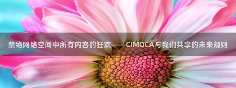 kakaopage韩漫官网：禁绝网络空间中所有内容的狂欢——CIMOCA与我们共享的未来规则